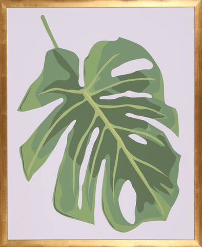 PHILODENDRON 2