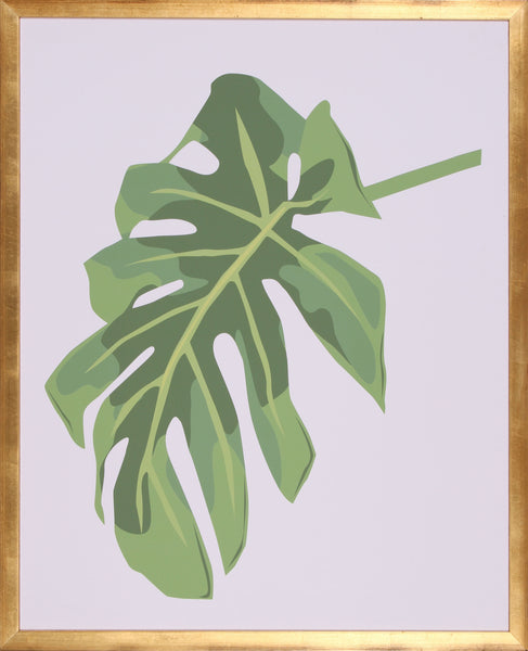 PHILODENDRON 3