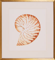 NAUTILUS II