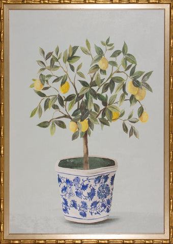 LEMON TREE