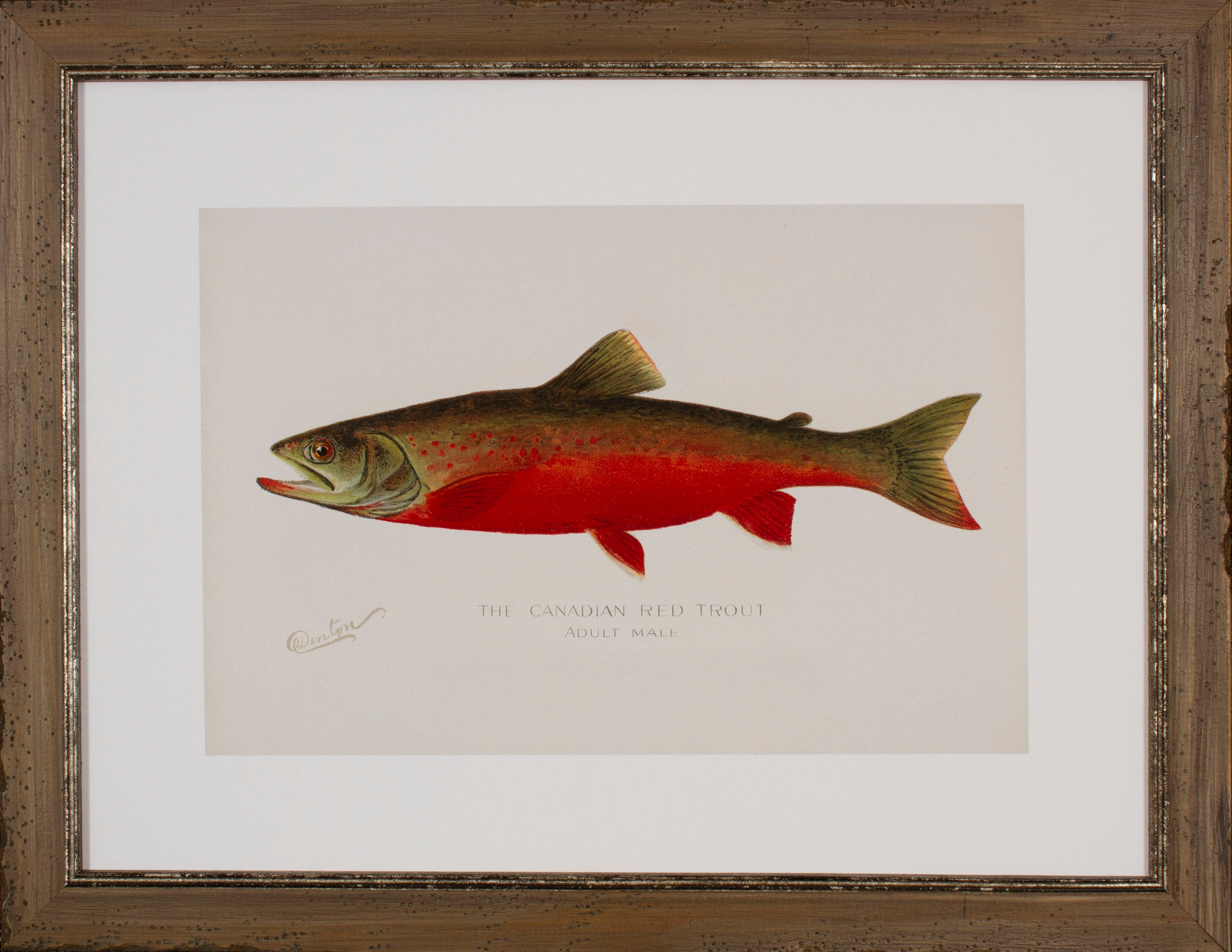 油絵 “Fish Catcher” Giclée – Page 22 – Shadow Catchers Art